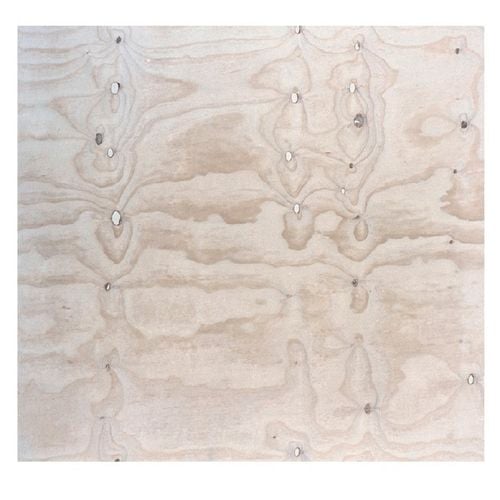 Ecoply 2400 x 1200mm 9mm Plywood Pine Structural CD Grade