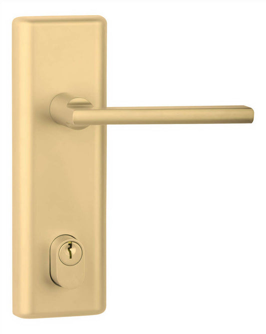 N2Lok Infinity Decorus Lever Door Handle